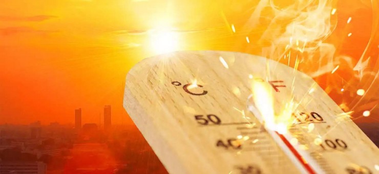 8 Tips to Keep Your House Cool During A Heatwave